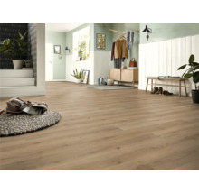 Heller Eingangsbereich mit Laminatboden, Garderobe und dekorativen Elementen für ein freundliches Ambiente.