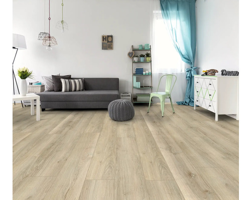 Heller Wohnraum mit Laminatboden, Sofa und Dekoration