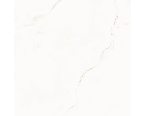 Feinsteinzeug Bodenfliese Onyx White 120x120 cm weiß rektifiziert