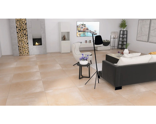 Wohnzimmer mit Kamin, Fernseher, Sofa und Stehlampe