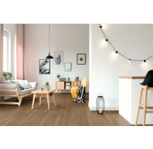 Wohnzimmer mit Holzboden, Sofa, Tisch und Dekoration