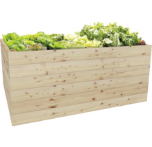 Hochbeet aus Holz mit Salatpflanzen