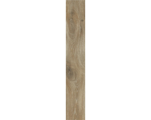 Feinsteinzeug Bodenfliese Cembra natural 23,4x148 cm rektifiziert