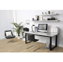 Arbeitszimmer mit Schreibtisch, Bürostuhl, Regalen und Zimmerpflanze