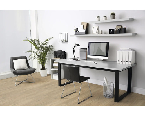 Arbeitszimmer mit Schreibtisch, Bürostuhl, Regalen und Zimmerpflanze