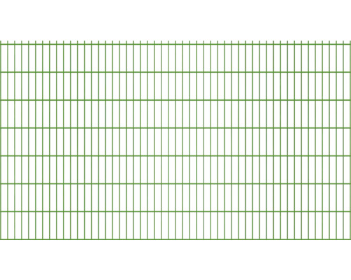 Doppelstabmatte 8/6/8 251 x 143 cm grün