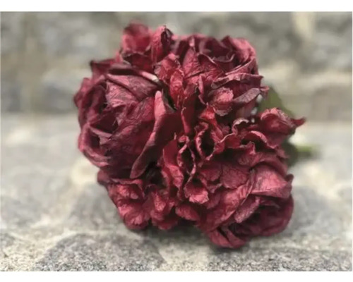 Kunstblume Rose Hydrangea 22 cm dunkelrot