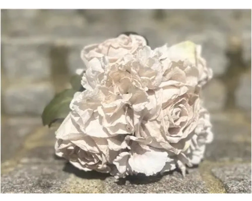 Kunstblume Rose Hydrangea 22 cm weiß