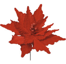 Dekorative rote Weihnachtssternblume
