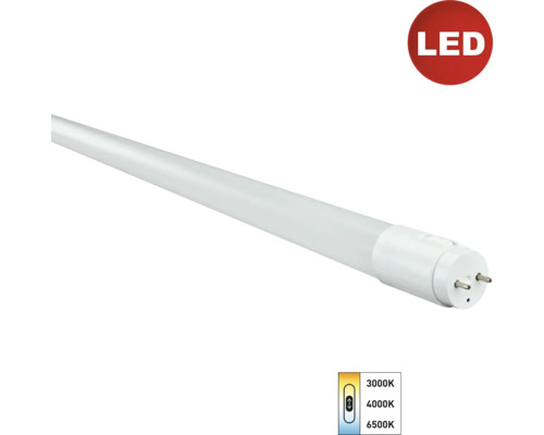 LED Röhre e2, T8 G13 / 9 W 1500 lm, einstellbares weiß
