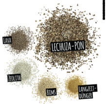Verschiedene Arten von Pflanzsubstraten: Lava, Lechuza Pon, Zeolith, Bims und Langzeitdünger.