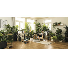 Helles Zimmer mit Zimmerpflanzen und entspannender Frau im Sessel