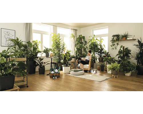 Helles Zimmer mit Zimmerpflanzen und entspannender Frau im Sessel