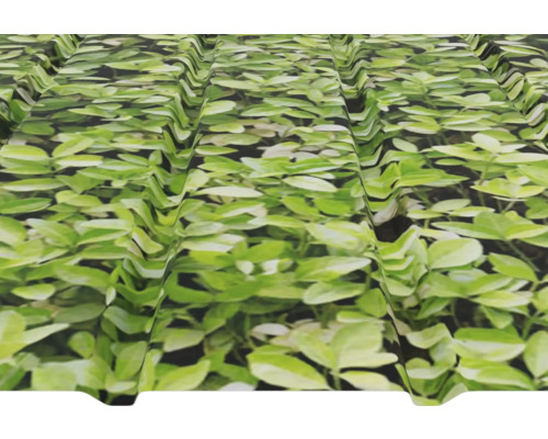 Profilblech mit Pflanzenmuster