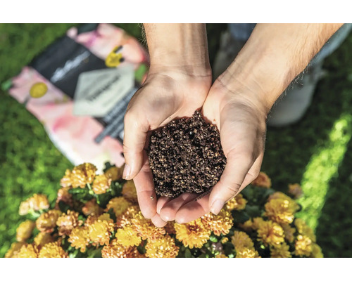 Eine Person hält Blumenerde in den Händen vor einem Hintergrund von Blumen und einer Verpackung Blumenerde.