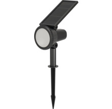 Solarleuchte mit Erdspieß