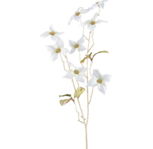 Dekorativer Zweig mit weißen Blüten für Innenräume