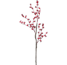 Dekorativer Zweig mit roten Beeren für festliche Anlässe