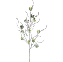 Dekorationszweig mit Knospen