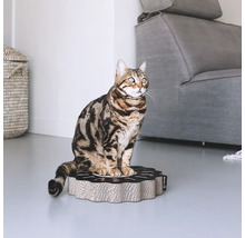 Katze sitzt auf einem Katzenkratzbrett aus Pappe