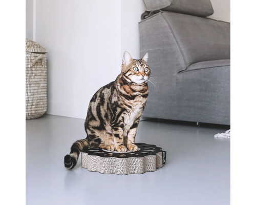 Katze sitzt auf einem Katzenkratzbrett aus Pappe