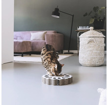 Katze auf einem Katzenkratzbrett in einem Wohnzimmer