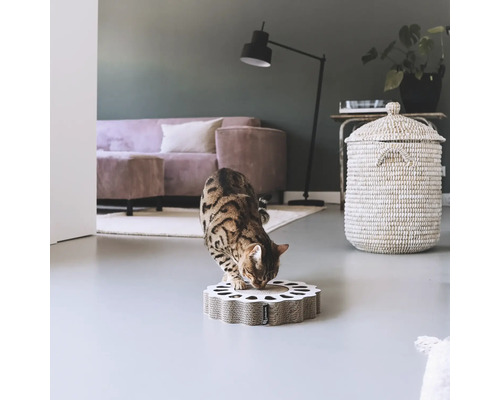 Katze auf einem Katzenkratzbrett in einem Wohnzimmer