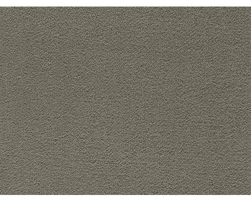 Teppichboden Shaggy Janette graubraun FB47 400 cm breit (Meterware) Nahaufnahme einer Putzoberfläche
