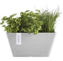 Pflanzkasten mit Petersilie und Schnittlauch