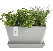 Rechteckiger Pflanzkasten mit Kräutern und Untersetzer