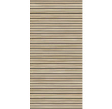 Holzpaneel mit horizontalen Latten für Wand- oder Deckenverkleidung