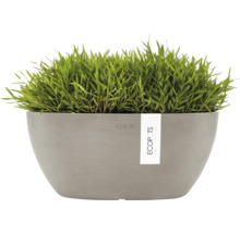 Pflanzgefäß mit Gras