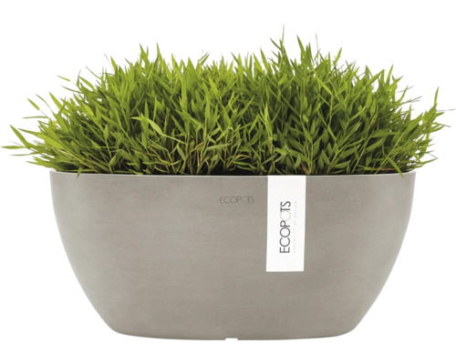 Pflanzgefäß mit Gras