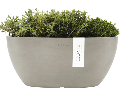 Ecopots Pflanzgefäß mit Bepflanzung