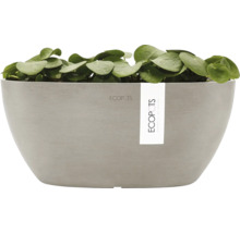 Ecopots Pflanzgefäß mit runden Blättern