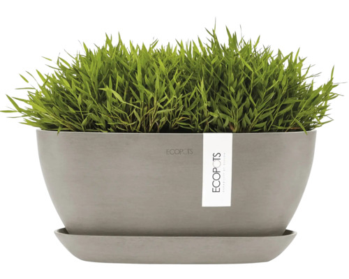 Ecobots Pflanzgefäß mit Gras und Untersetzer