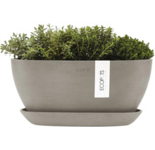 Ecobots Pflanzgefäß mit Pflanzen