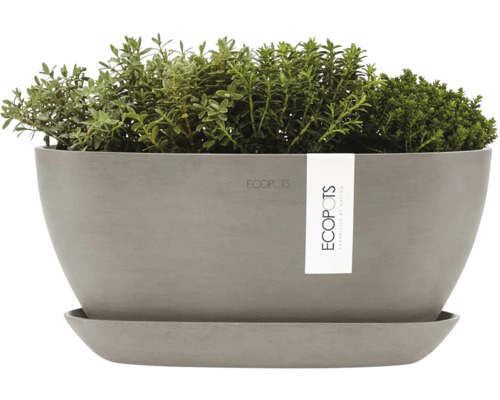 Ecobots Pflanzgefäß mit Pflanzen