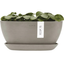 Ecopots Blumentopf mit Pflanze