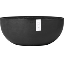 Schwarze Pflanzschale