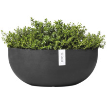 Schwarzer Pflanztopf mit grüner Pflanze