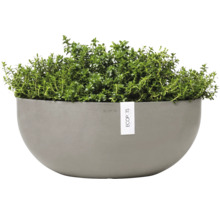 Halbrunder Pflanztopf mit grünen Pflanzen