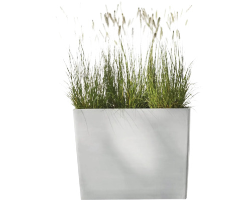 Quadratischer Pflanzkasten mit Ziergras