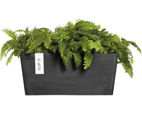 Rechteckiger Pflanzkasten aus Kunststoff mit Farn