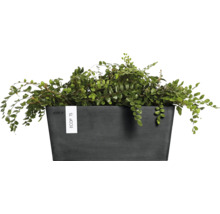 Rechteckiger Pflanzkasten mit grüner Pflanze