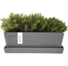 Ecopots Pflanzkasten mit Kräutern