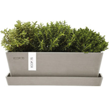 Pflanzkasten mit Kräutern auf Untersetzer