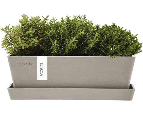 Pflanzkasten mit Kräutern auf Untersetzer