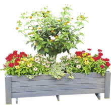 Blumenkasten Pflanzkasten Romantica promadino Holz 78 x 38 x 34 cm grau