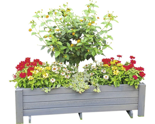 Blumenkasten Pflanzkasten Romantica promadino Holz 78 x 38 x 34 cm grau